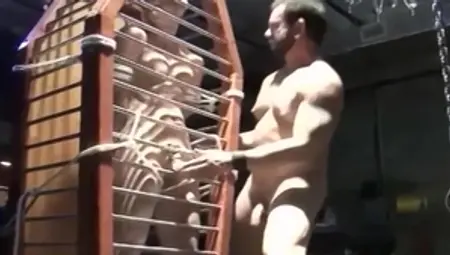 BoundMuscleJocks.com: Franco & Dax plus Walker