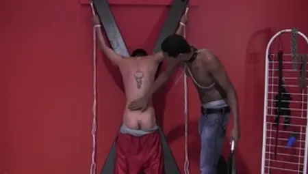 BadBoyBondage.com - Cute agrees to roped