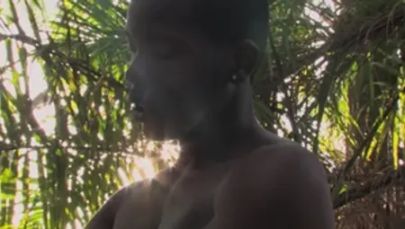 Young Tourist's Wild Night Out