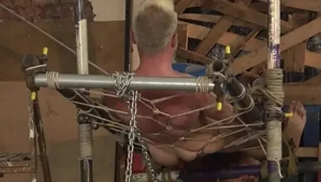 Boynapped.com - Trimmed british swinger really likes waxed