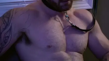 BROMO - Pierced & tattooed hunk bareback rimming in the bed