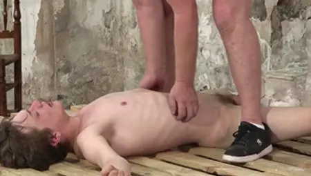 Boynapped.com - Shaved trimmed british twink boy fetish roped