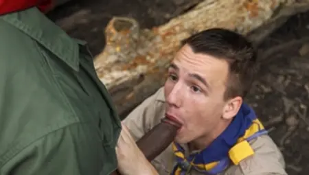 scoutboys: Nature Calls for Some Tail