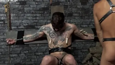 Clamped Screams and Whipping