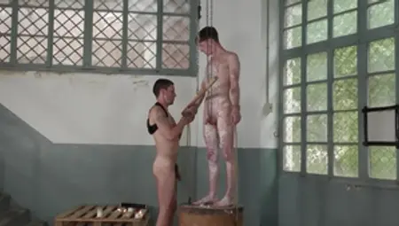 Boynapped.com - Xavier Sibley beside Taylor crazy wanking