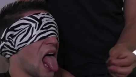 Drill My Hole - Aspen giving head for big dick